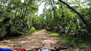 Florida Tide Swamp WMA