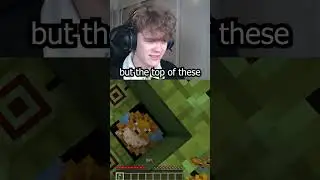 What Happens If You Randomise Every Texture In Minecraft?