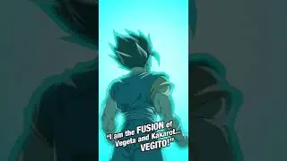 LR AGL SSJGSSJ GOKU AND VEGETA active skill DUB