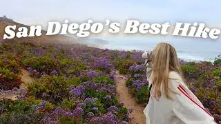 The BEST HIKE IN SAN DIEGO (Hidden Beach Trail)