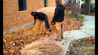 Fall Cleanup Greenline Inc.