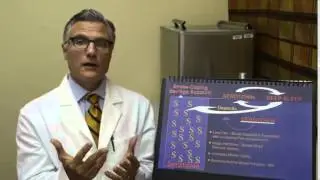 Dr Murphree, The Fibro Doctor: Fibromyalgia & Your Stress Coping Savings Account