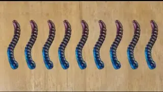 Asmr Eat Jello Worms are Purple and Blue Gummy in the UK 