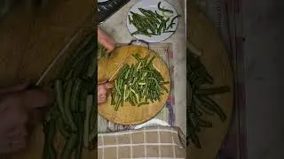 Freezing Garden Green Beans