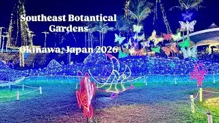 The focus travel is live! Live laser show at Botantical Gardens in Okinawa, Japan