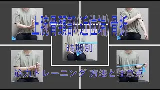 上腕骨頚部(近位端)骨折のリハビリテーション-時期に応じた腱板・三角筋の筋力トレーニングの具体例-
