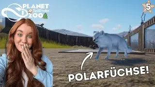 Die Polarfüchse ziehen ein! | Zimtsternchen Zoo - Planet Zoo Stream 5