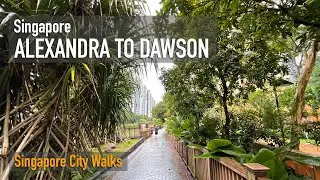 Alexandra to Dawson Sky Garden - Walking in light rain [4K]
