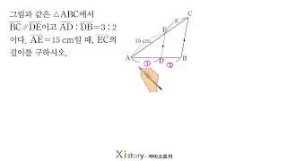 F 유형 16