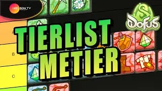 Les MEILLEURS M&Eacute;TIERS pour DOFUS Unity (tierlist)