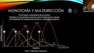 WEBINAR EDICIÓN ESPECIAL V #QuedateEnCasa - Valentino Dressino
