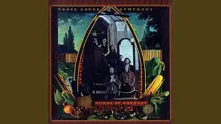 Guitars Pickin, Fiddles Playin / Orange Blossom Special