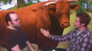T.A.D.A. #10 Cut Through the Bull Edition