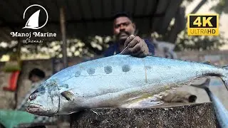 Amazing Cutting Skills | Fish Cutting Skills| #KasimeduSelvam #kasimedu #FISHCUTTING #SKILL
