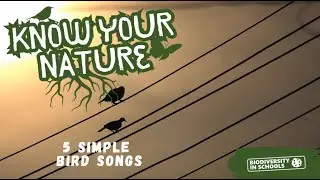 Know Your Nature - 5 Simple Bird Songs