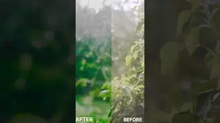 VN COLOUR GRADING TUTORIAL | #vntutorial #vnvideoeditor #colorgrading