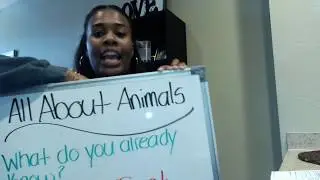 1ST GRADE SCIENCE: ANIMAL CHARACTERISTICS!