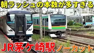 次々と電車が来る平日朝ラッシュのJR茅ヶ崎駅1時間半ノーカット！ 東海道線・相模線 205系・特急湘南など
