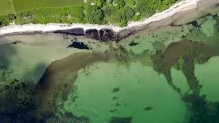 Fanefjord Skov 🐟💚🎣 Fiskeplads p&aring; M&oslash;n