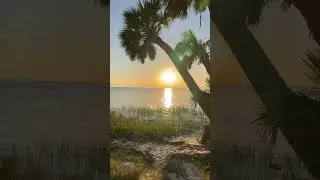 Silent Hiking at St Marks National Wildlife Refuge