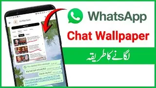 How to set all chat wallpapers on WhatsApp | How to set personal chat wallpaper on WhatsApp