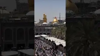 janum ya hussain status 👑❤️ #molahussain #shorts