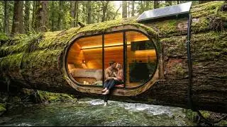 🌿 Cozy Tree Cabin Over a Forest River | Pure Silent Cinematic ASMR