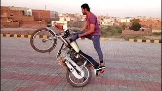 FANI WHEELER 302