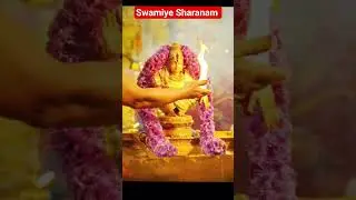 Sacred Darshan: Sri Ayyappa Swamy #ayyappa #swami