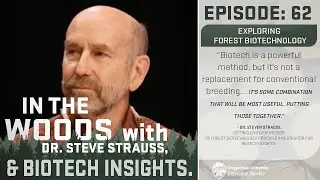 In the Woods - Episode 62: Exploring Forest Biotechnology
