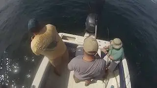 2016 Duke of Fluke Fishing Highlights