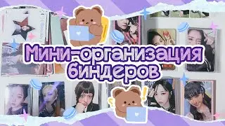 ~ Организация биндеров #12 | Мини-организация перед новым годом ~