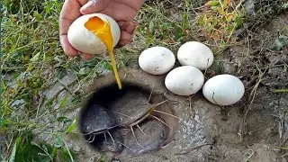 Unbelievable Fishing With Eggs Catch Fish | Amazing Fishing - Unique Fish Trap