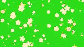 flower green screen video|green screen flowers |flowers green background|green screen flowers
