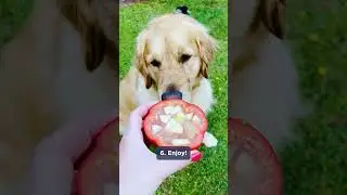 Frozen stuffed pepper pupsicle 🐶