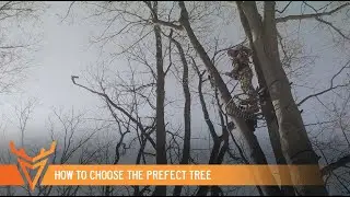 How to Choose the PERFECT Tree for Your Treestand | S1E09 | Wired to Hunt