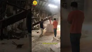 chất lượng ng&ocirc; đầu v&agrave;o để l&agrave;m c&aacute;m v&ocirc; c&ugrave;ng quan trọng