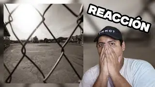 RT REACCIONA A - FLOW CALLEJERO - TITO EL BAMBINO FT. ÑENGO FLOW & DJ NELSON