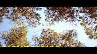 The Wild Sons - It's All Gas (official music video)