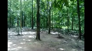 New Forest Conservation Rules, 2022