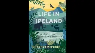 Life in Ireland talk COB 29 06 21
