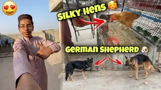 Aj Hum Pets Market Gay 😍 Or Waha Sy Birds Kharedy Bhut Maza Aya 🤩