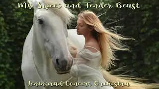 My Sweet and Tender Beast - Leningrad Concert Orchestra