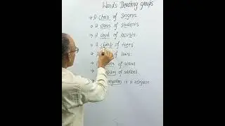 Words Denoting groups  in English #shorts