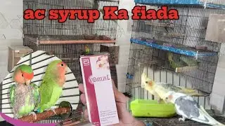 vidaylineL syrup use karwana Ka ahsan trekha plus multivitamins breeding formula (aq birds and pets)