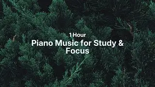 1 Hour Piano Music for Study and Focus Soft Piano Series Part 2