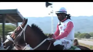 JAMAICA RACING: Teflon Don Takes Mon, April 21, 2025, 7th