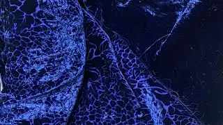 Pure French Chiffon Velvet Chinese Pure Palachi Pure ￼Chiffon ribbon ￼Duppata Sense Phoenix Velvet