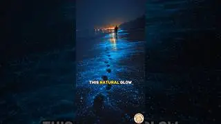OCEAN GLOWS?! 🌊✨ #facts #didyouknow #educationalvideo #ellatuazon