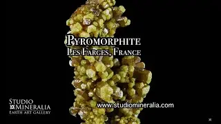 Pyromorphite - Les Farges, Ussel, France - Studio Mineralia Earth Art Gallery
